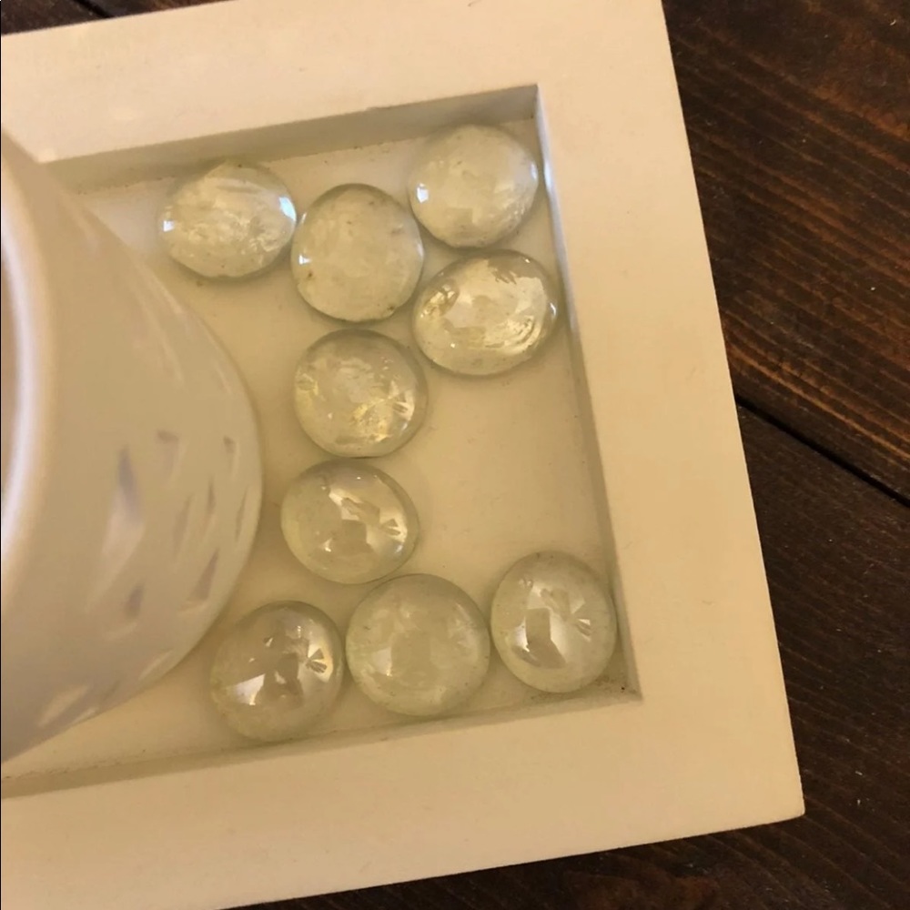 White Violets with tray - Picture 4 of 5